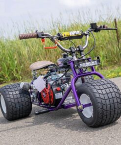 2024 “Purple Haze” Special Edition TGV Mini Trike