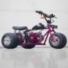 Racing Raspberry Mini Trike