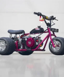 Racing Raspberry Mini Trike
