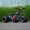 TGV Mini Trike for sale