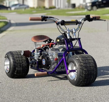 mini trike for sale